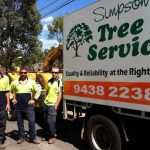 Simpsons Tree Service