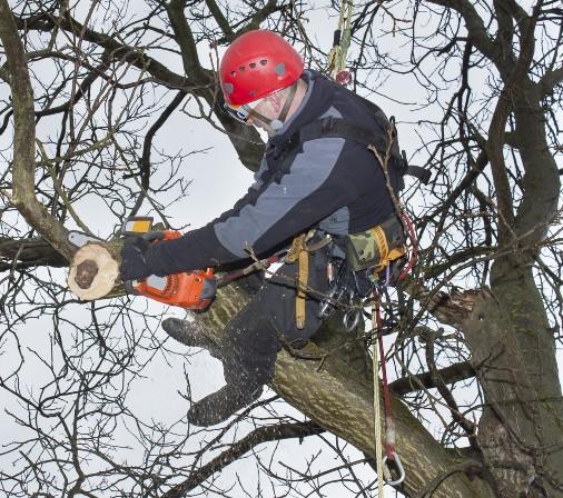 Tree Pruning