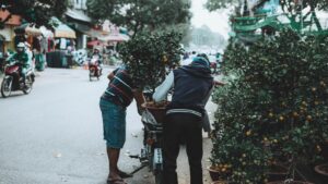 Tree Removal: Environmental Considerations and Best Practices