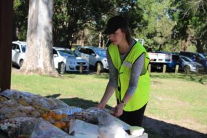 Tree Council Permits and Environmental Protection