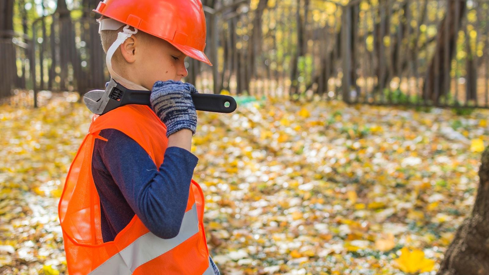 Safety Protocols in Professional Tree Removal
