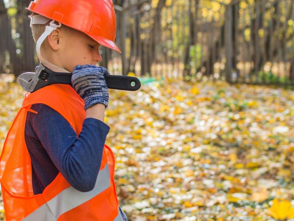 Safety Protocols in Professional Tree Removal