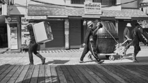 Pruning Techniques for Different Tree Species