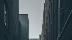 Urban Heat Islands and Trees