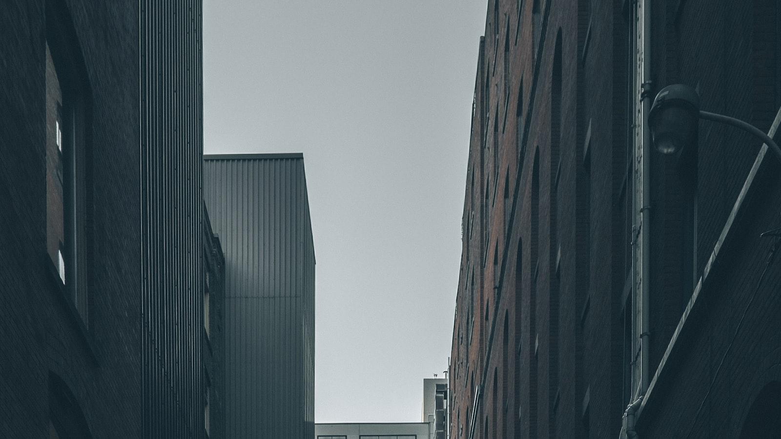 Urban Heat Islands and Trees