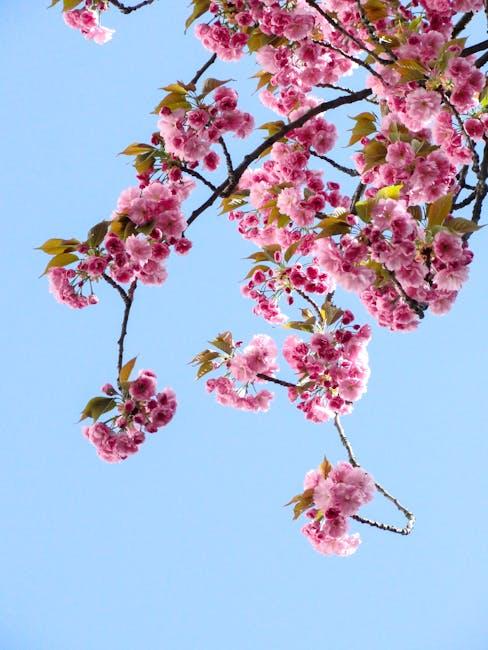 Spring Tree Care Essentials
