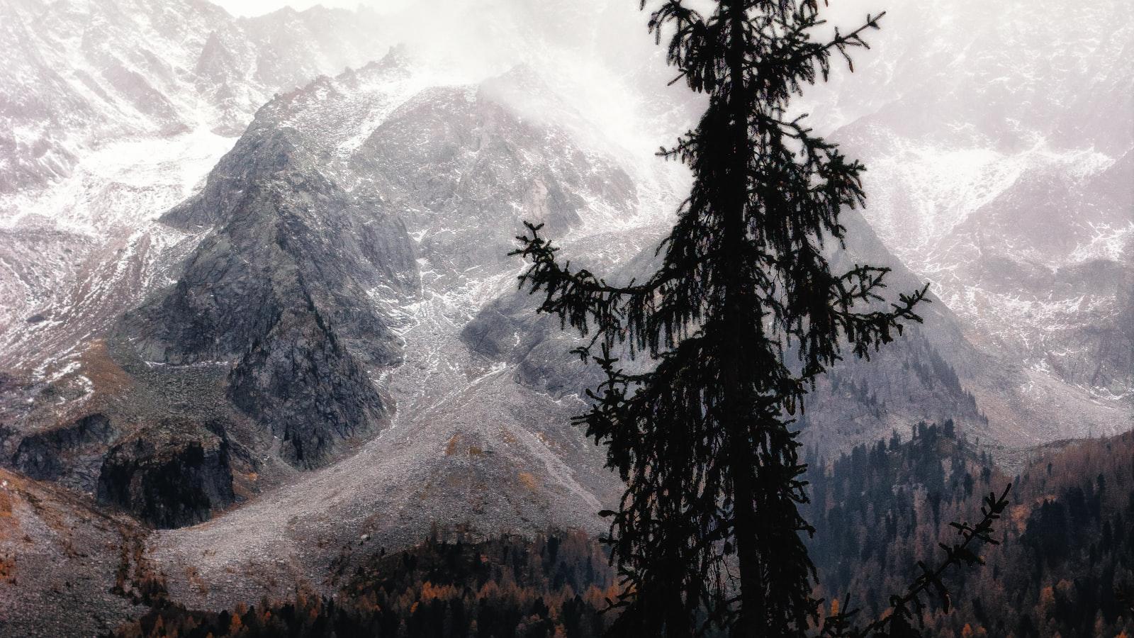 Tree Removal in Hazardous Situations