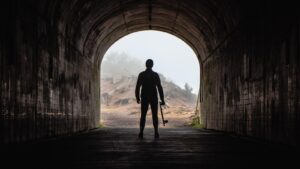 Stump Removal: A Comprehensive Guide