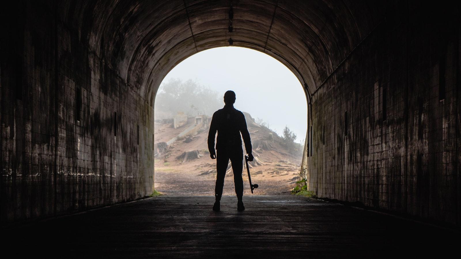 Stump Removal: A Comprehensive Guide