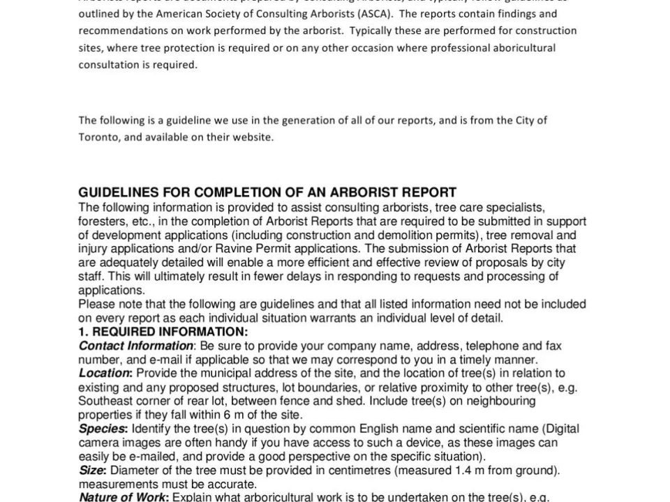 How Arborist Reports Contribute to Tree Health