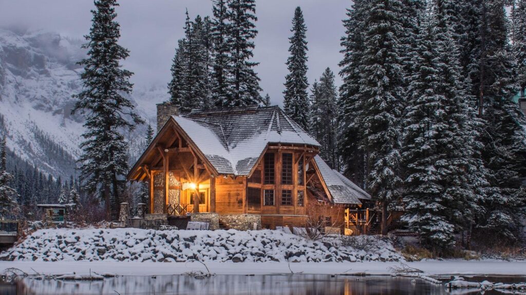 Tree Removal as Part of Urban Renewal