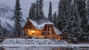 Tree Removal as Part of Urban Renewal