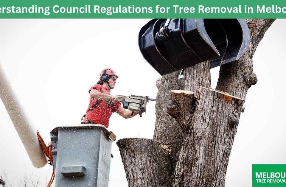Strategies for Obtaining Tree Council Permits
