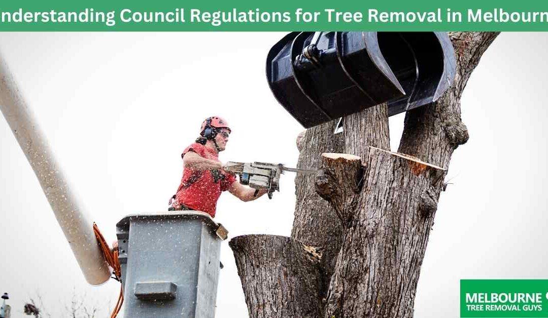Strategies for Obtaining Tree Council Permits
