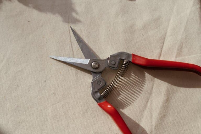 Pruning as a Key Element in Tree Care - Simpsons Tree Service