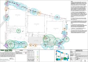 The Value of Arborist Reports in Real Estate