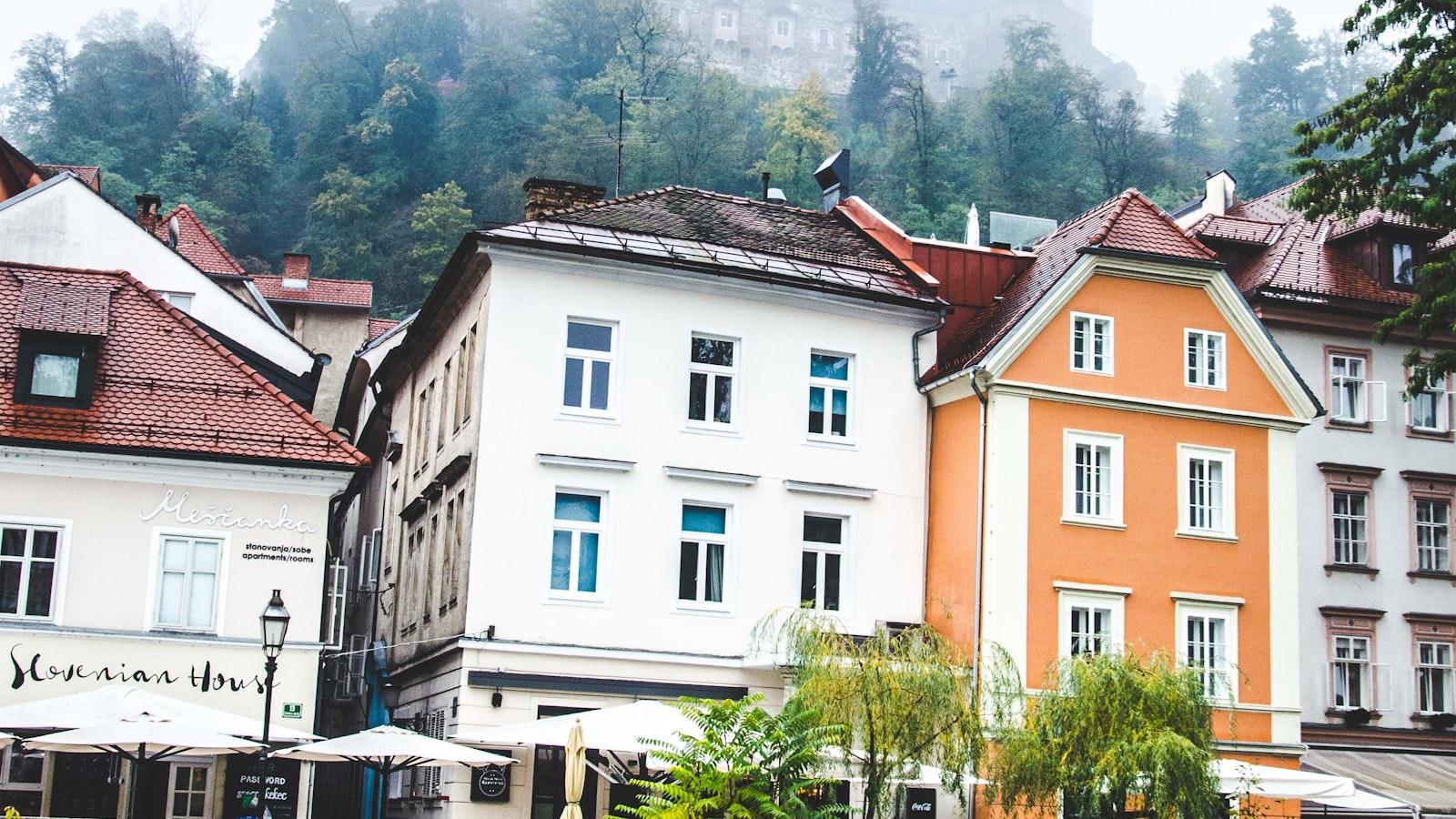 Understanding the Legal Aspects of Tree Council Permits