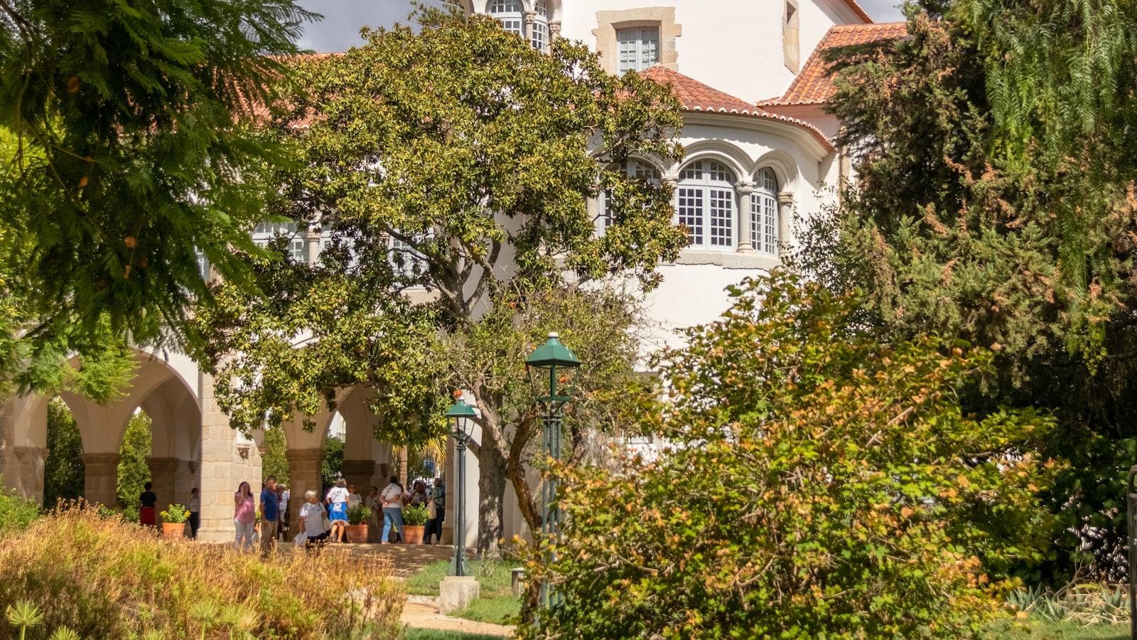 Historical Trees and Preservation