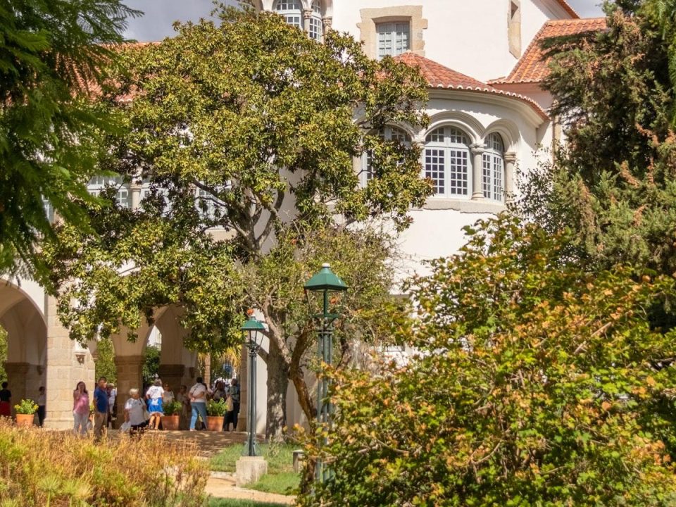 Historical Trees and Preservation