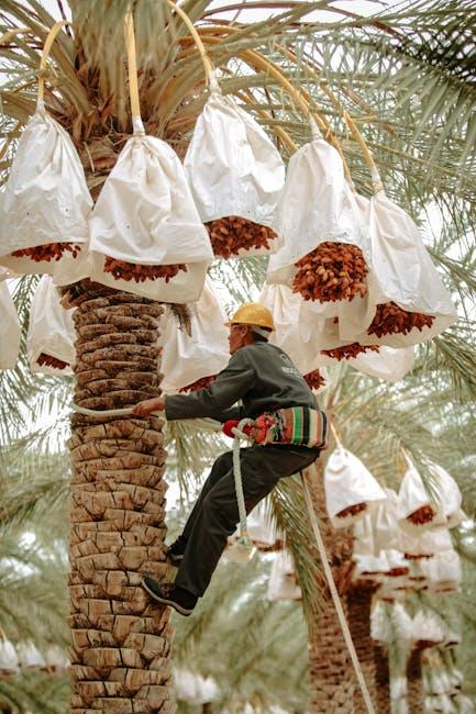 The Value of Arborist Reports in Tree Management