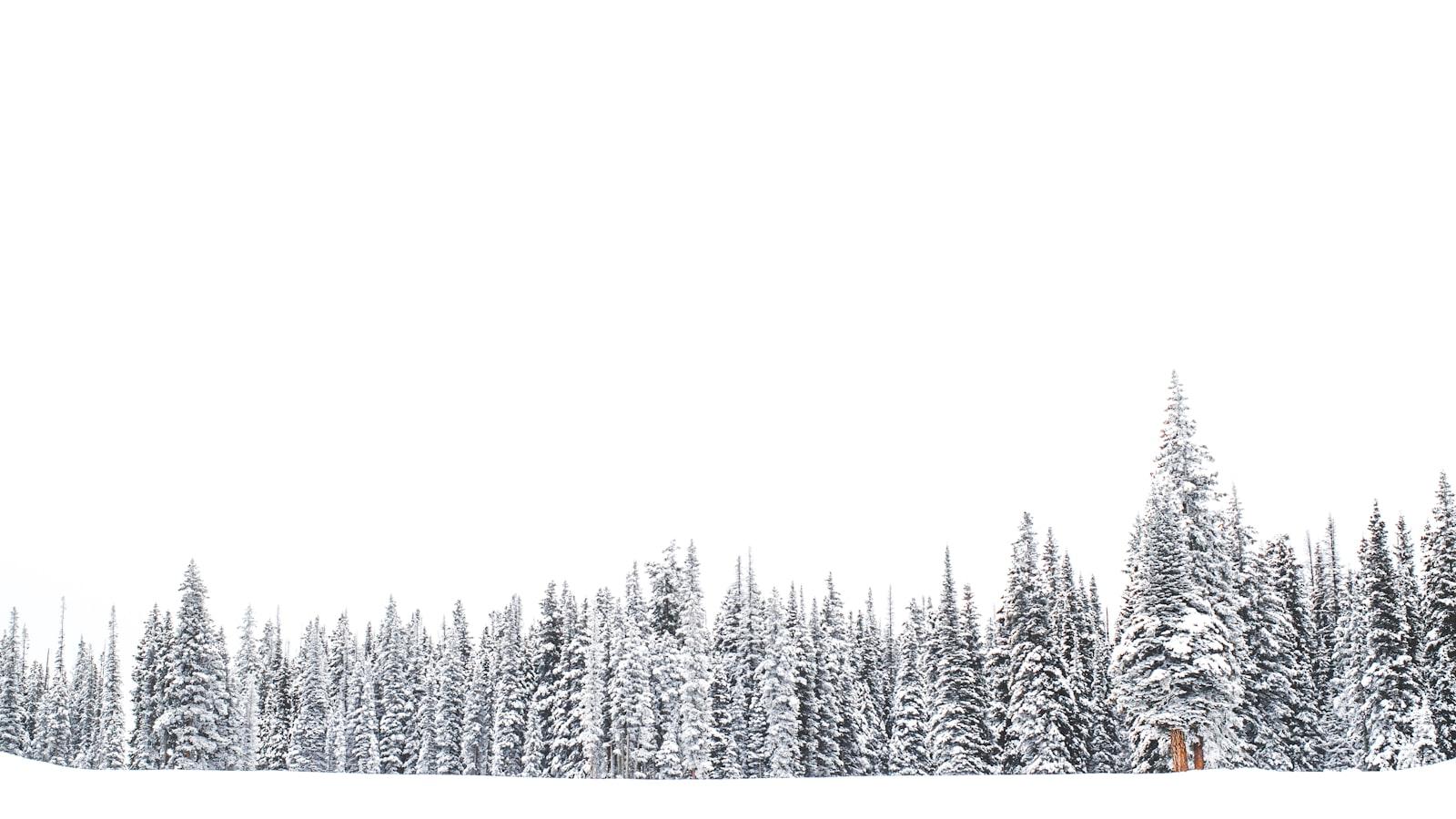 Trees as Living Memorials