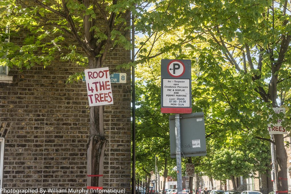 Common Misconceptions About Tree Council Permits