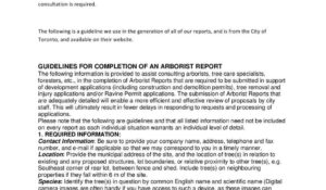 Arborist Reports: The Key to Effective Tree Management