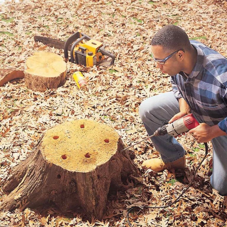 Stump Removal for Replanting Purposes - Simpsons Tree Service
