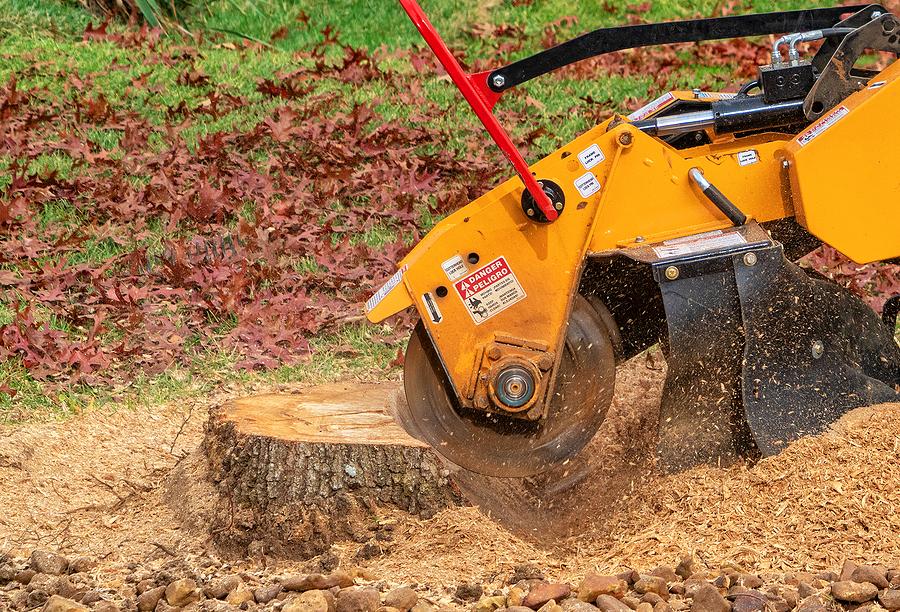 Stump Removal: Tools and Equipment
