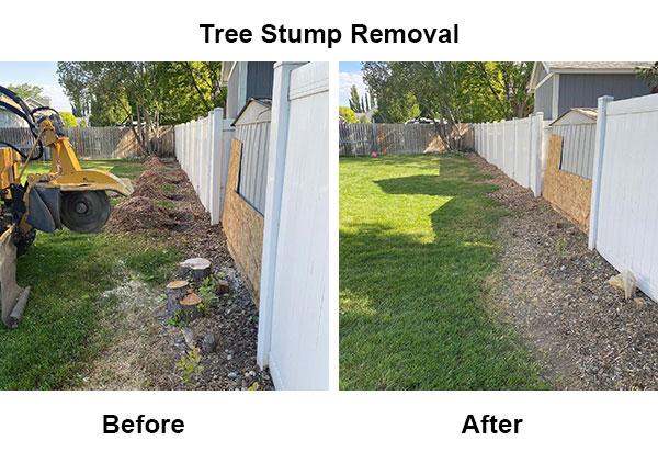 Stump Removal as a Part of Garden Renovation