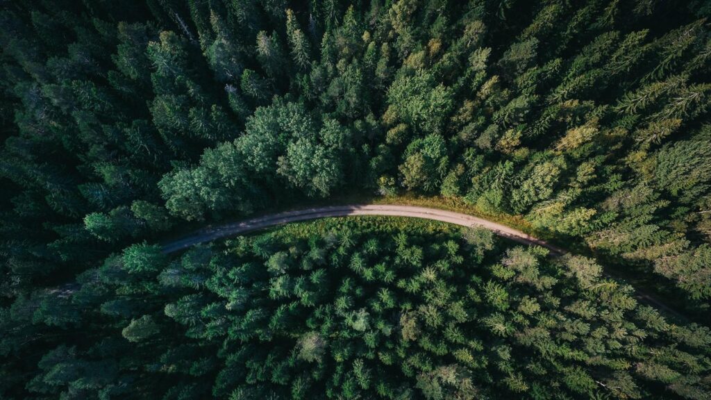 How to Expedite Tree Council Permit Approvals