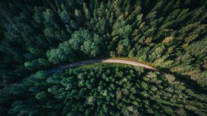 How to Expedite Tree Council Permit Approvals