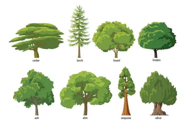 Trees and Urban Wildlife