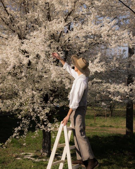 The Impact of Tree Removal on Ecosystems