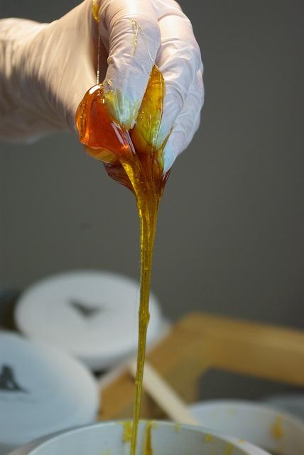 The Role of Tree Removal in Habitat Management