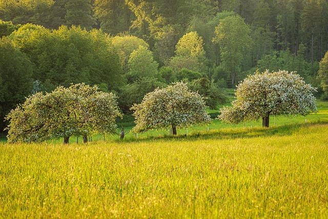 Trees as Natural Monuments