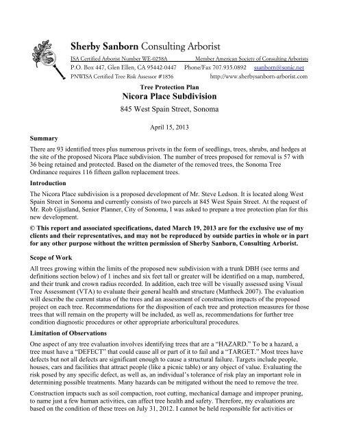 Arborist Reports: Beyond the Basics