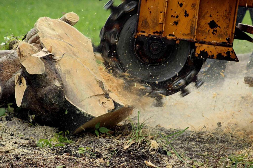 Natural Methods for Stump Removal