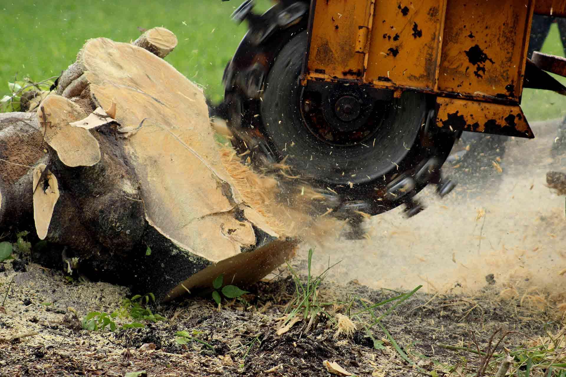 Natural Methods for Stump Removal