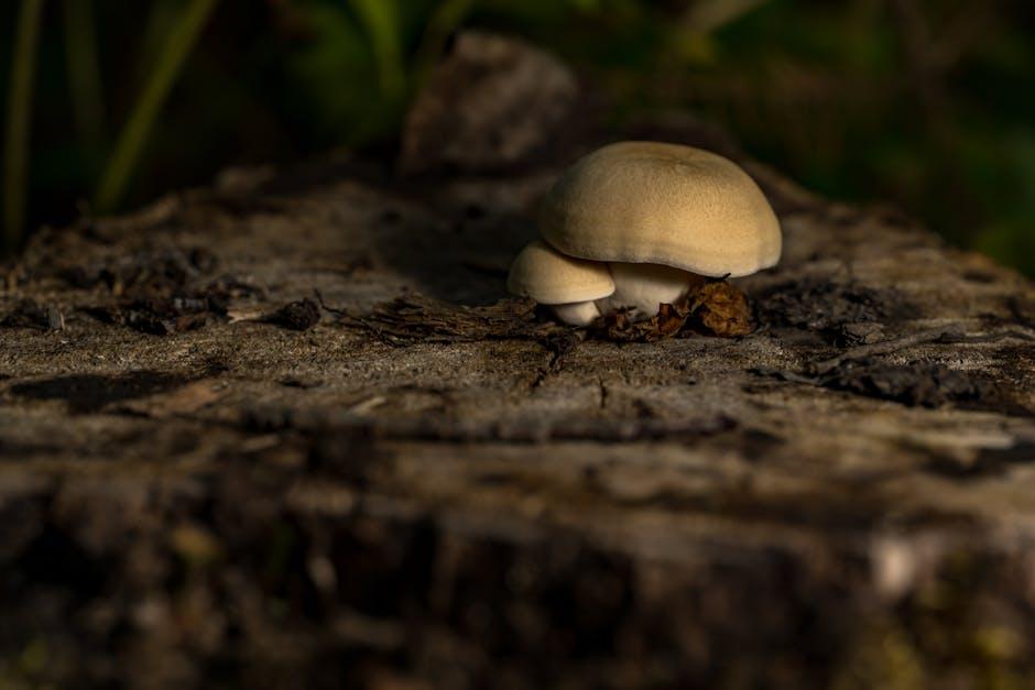 Stump Removal: Health and Safety Considerations