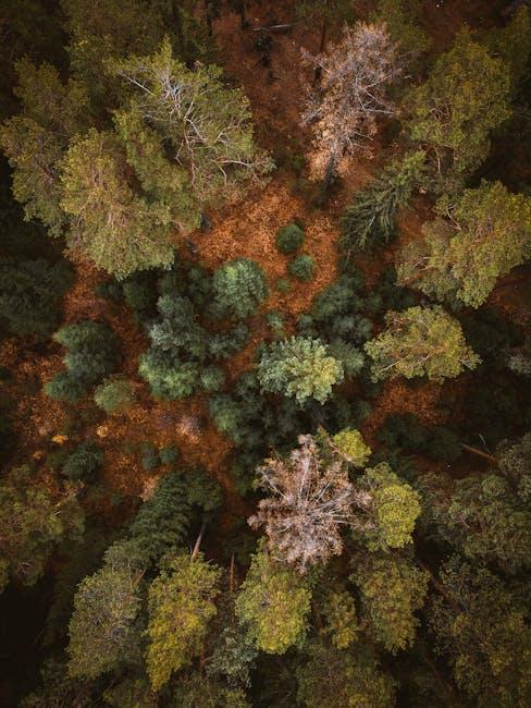 Coppicing and Pollarding Techniques