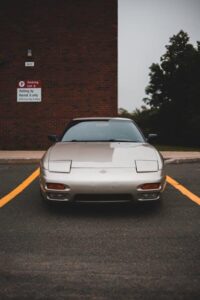 Navigating Tree Council Permits: A Step-by-Step Guide