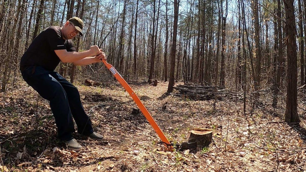 Stump Removal: Traditional vs. Modern Methods