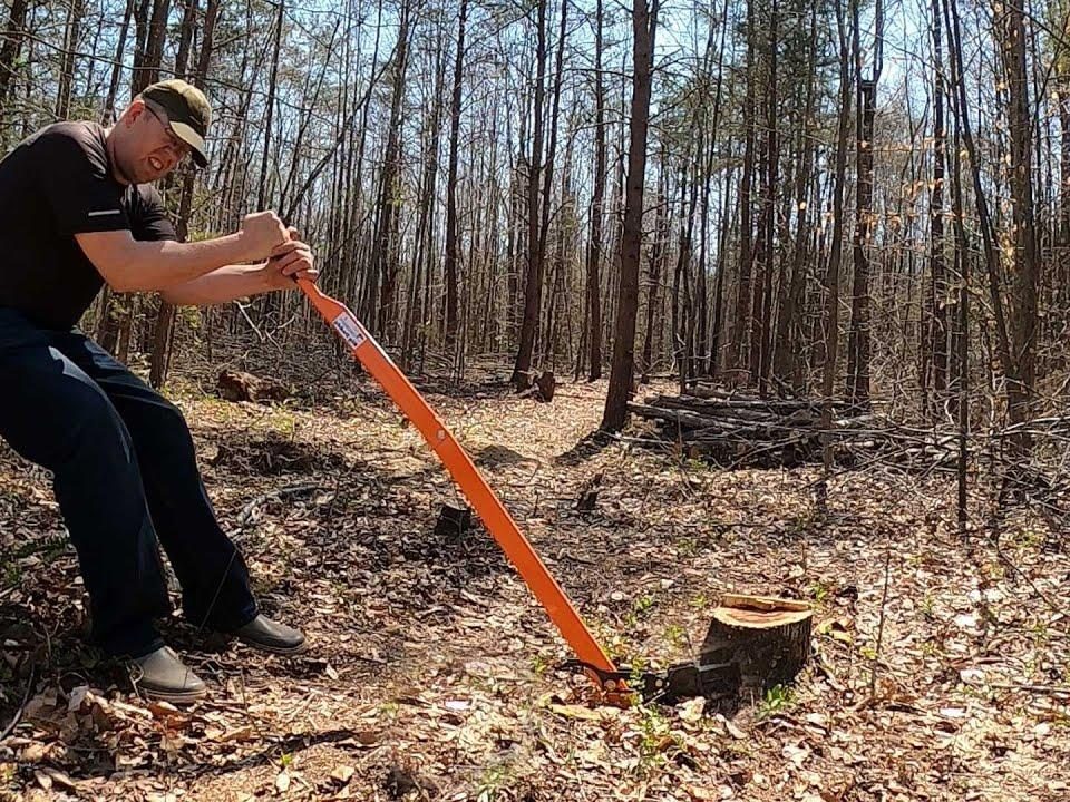 Stump Removal: Traditional vs. Modern Methods