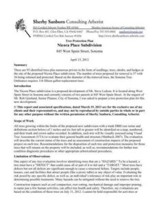 Arborist Reports: Key Insights for Tree Owners