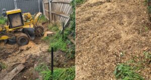 Stump Grinding in 5 Brownhill Street, Bundoora