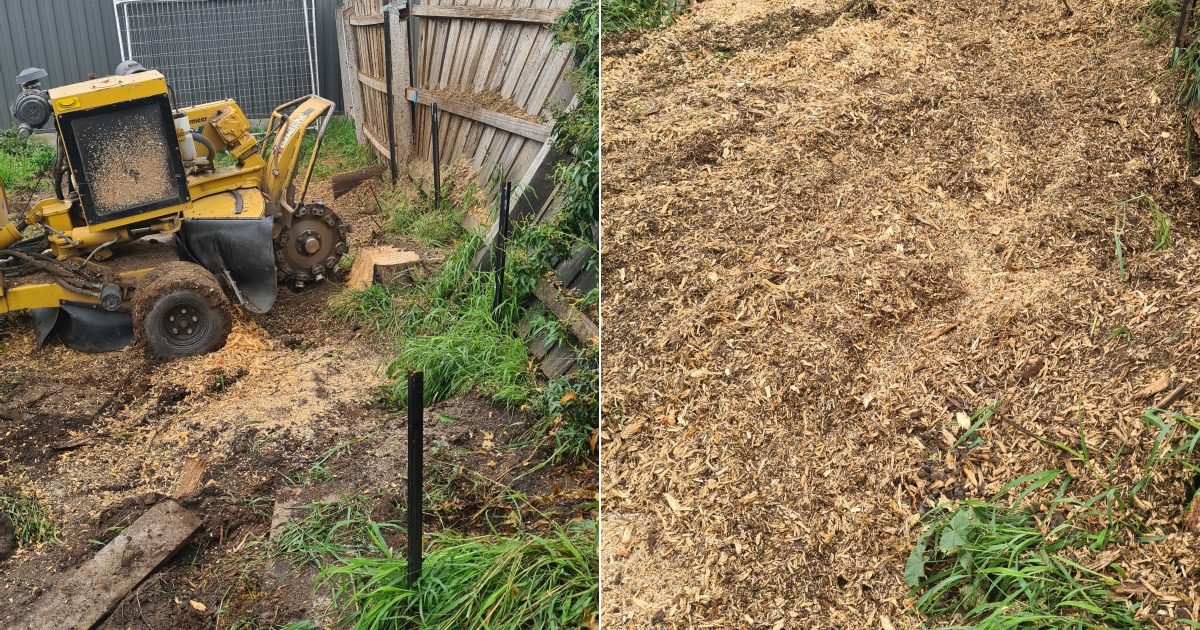 Stump Grinding in 5 Brownhill Street, Bundoora