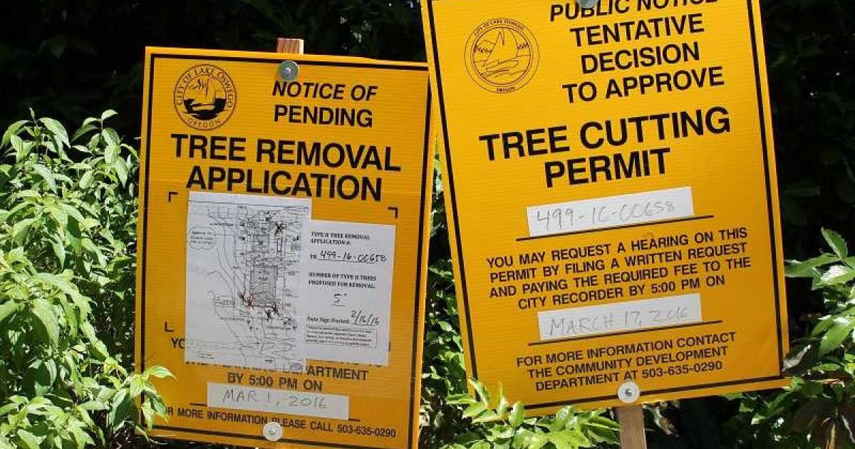 Arborist Reports in Somers Ave, Macleod